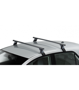 Portaequipajes (baca) de techo para Toyota Hilux Pick-Up (2005-2015) - baca  para coche - barras para techo de coche - Amos - D-1 - O - sin puntos de  montaje barras de acero Dromader&O