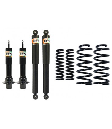KIT SUSPENSION EFS