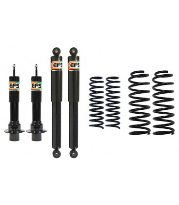 KIT SUSPENSION EFS