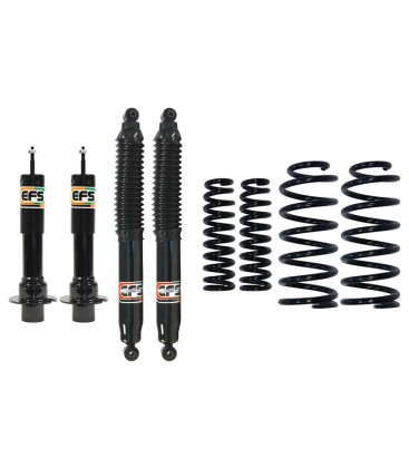 KIT SUSPENSION EFS