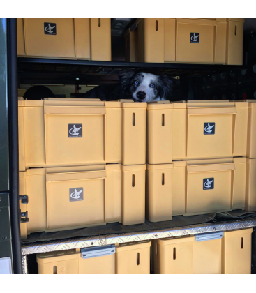 CAJA THE NOMAD FOX