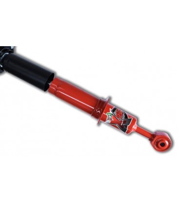 AMORTIGUADOR EFS XTR