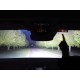FARO LED LAZER TRIPLE R1250