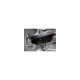 PLANCHAS DE PROTECCION N4
