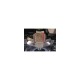 PLANCHAS DE PROTECCION N4