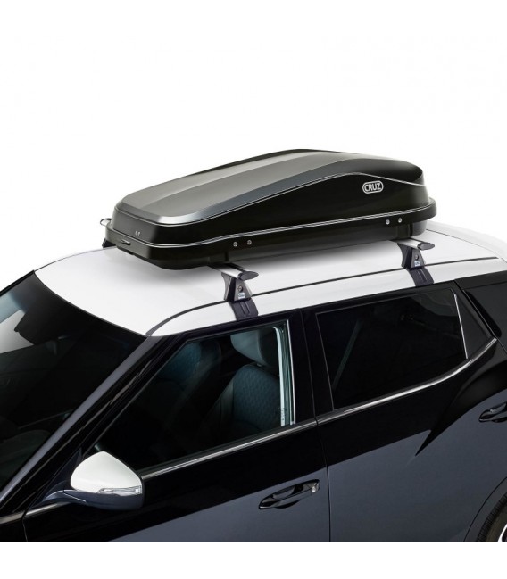Caja para baca portaequipajes equipaje maletín de baca coche techo caja  baca 320
