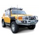 SNORKEL SAFARI