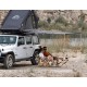 TOLDO  WILD LAND