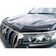 DEFLECTOR DE CAPO TOYOTA 150