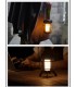 Linterna LED USB  Wild Land