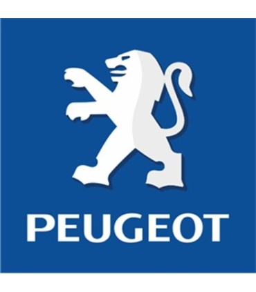 Peugeot Rifter XL / Standard (con railing) ( Desde 2024)