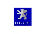 PEUGEOT 4007  (Desde 2007)