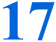 LLANTAS 17"